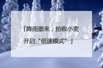 降雨要来，抢收小麦开启“倍速模式”